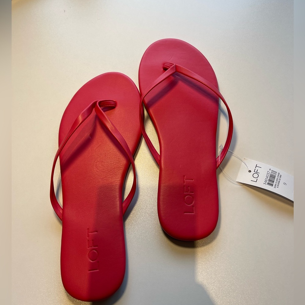 NWT Ann Taylor Loft Sandals